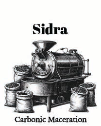 Sidra