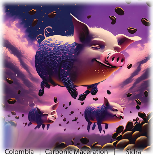 Sidra (Carbonic Maceration) 6 oz