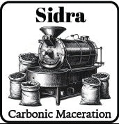 Sidra (Carbonic Maceration) 2.5oz